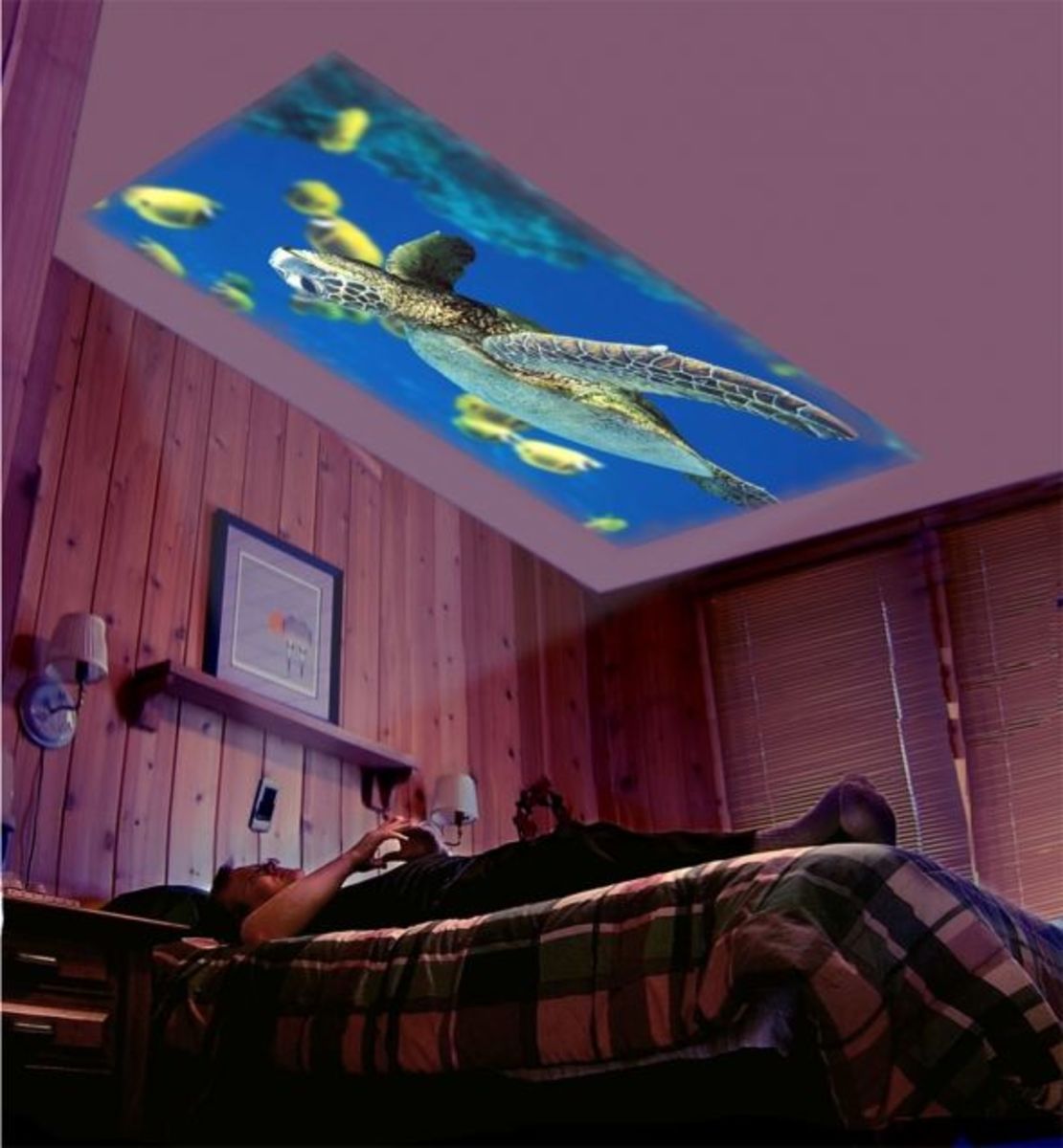 Portable Projector Pro
