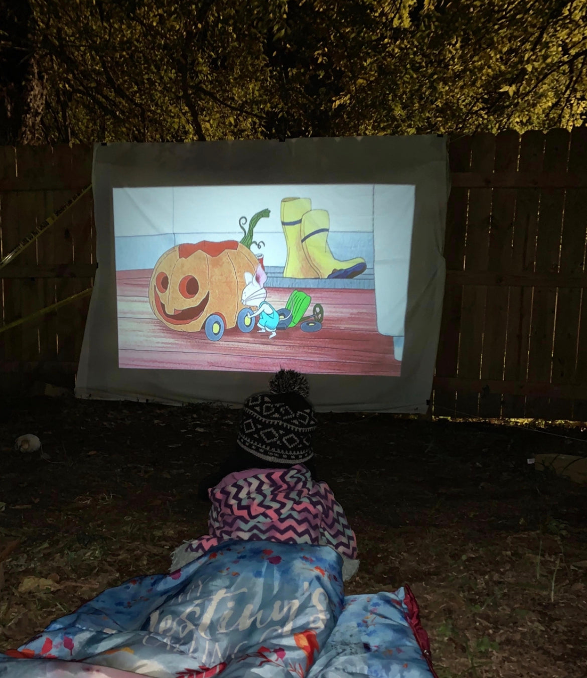 Portable Projector Pro